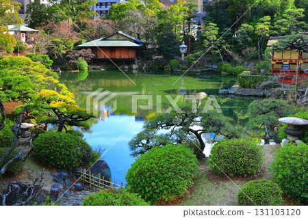 [Hyogo Prefecture] Sunny Sorakuen 131103120