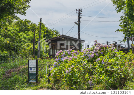 濱松市（靜岡縣）天龍濱名湖鐵道二又本町站的景色 131103164