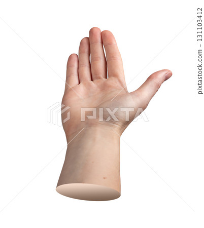 Female hand with palm open and fingers spread forward in an upright position, creating a display or Female hand with palm open and fingers spread forward in an upright position, creating a display or 131103412