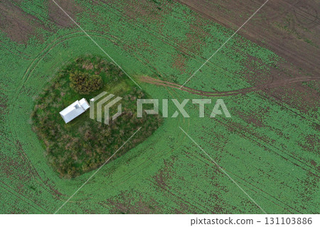 Aerial view of small white chapel in the middle of agricultural field 131103886