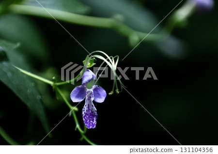 讓人想起一艘帆船 131104356