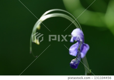 Reminiscent of a sailing ship Reminiscent of a sailing ship 131104456