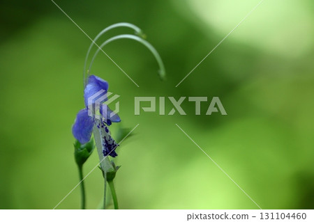 讓人想起一艘帆船 讓人想起一艘帆船 131104460