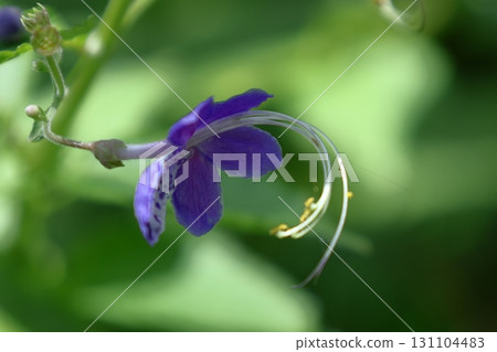 Reminiscent of a sailing ship Reminiscent of a sailing ship 131104483