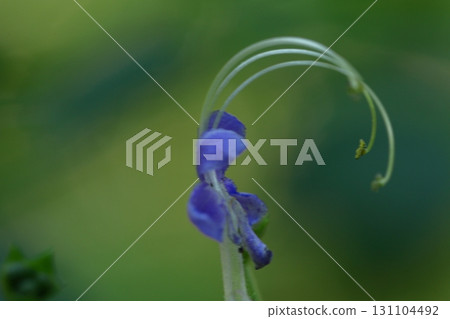 Reminiscent of a sailing ship Reminiscent of a sailing ship 131104492