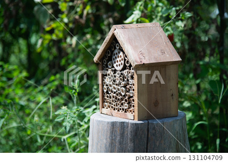 Insect hotel (bug house) - A hideout set up on a farm for hunting wasps to spend the winter. 131104709