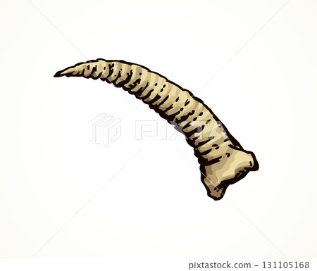 Goat horn. Vector drawing 131105168