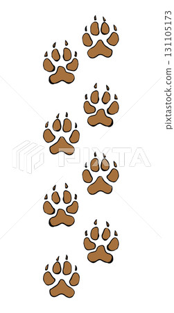 Traces of a bear. Vector drawing 131105173