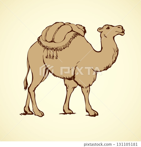 Rhinoceros. Vector drawing 131105181