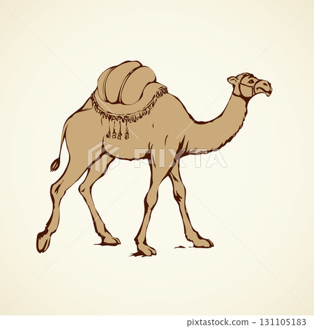 Rhinoceros. Vector drawing 131105183