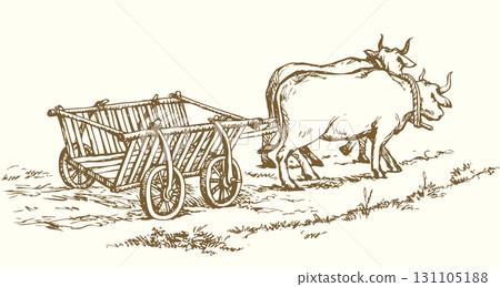 Empty cart drawn by oxen. Vector drawing Empty cart drawn by oxen. Vector drawing 131105188
