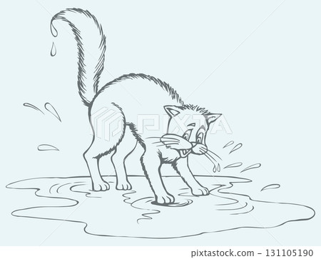 Vector drawing. Scared cat soaked in a puddle 131105190