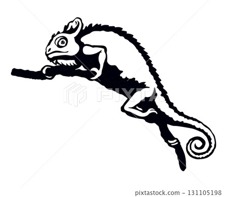 Cute old big Chamaeleon isolated on white backdrop Cute old big Chamaeleon isolated on white backdrop 131105198