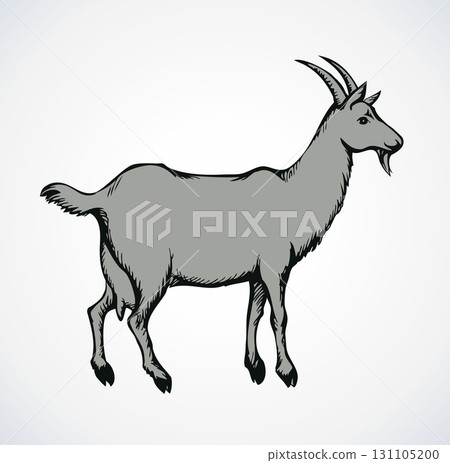 Goat. Vector drawing Goat. Vector drawing 131105200