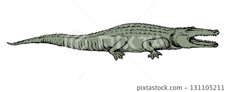 Crocodile. Vector drawing icon sign Crocodile. Vector drawing icon sign 131105211