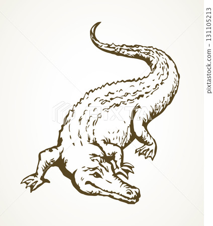 Crocodile. Vector drawing animal icon 131105213