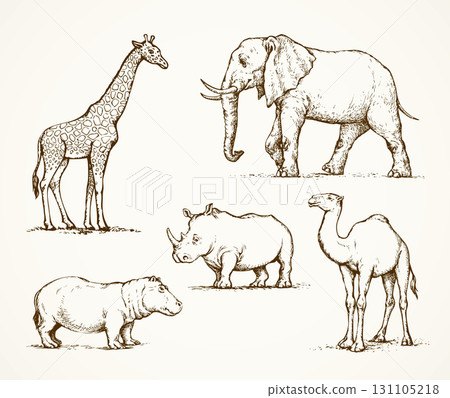African animals. Vector drawing 131105218