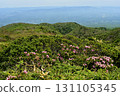 Azuma rhododendrons blooming on the Nakano-Okura Ridge of the Nasu Mountain Range 131105345