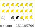 Ginkgo leaf material set 131105700