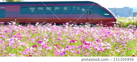 金屬紅色的火鳥列車在宇宙場上飛馳 131105956