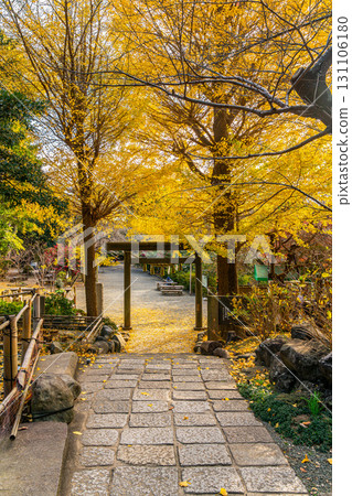 [Kanagawa Prefecture] Kamakura's Kuzuharaoka Shrine, home to the beautiful large ginkgo trees 131106180