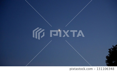 日落時的半月 131106348