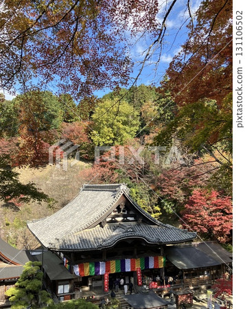 Okadera Temple in autumn surrounded by autumn leaves 131106502