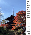 Three-storied pagoda surrounded by autumn leaves 131106503