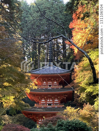 Gansenji Temple surrounded by autumn leaves Gansenji Temple surrounded by autumn leaves 131106504