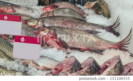 Frozen sea and freshwater fish on a supermarket shelf Sliced and whole Seafood Frozen sea and freshwater fish on a supermarket shelf Sliced and whole Seafood 131106555