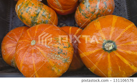 Orange pumpkins in large crates on store shelves. Vegetable display and sale. Orange pumpkins in large crates on store shelves. Vegetable display and sale. 131106576