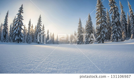Snow Covered Evergreen Trees Under Clear Blue Sky in Winter Landscape 131106987