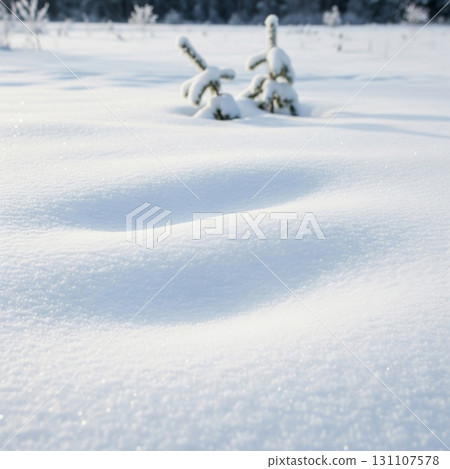 Snowy Landscape Featuring Fresh White Snowdrifts and Small Spruce Trees on Sunny Day 131107578