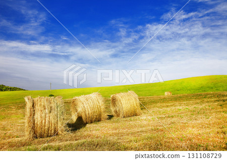 pictorial rural landscapes of Tuscany, Italy 131108729