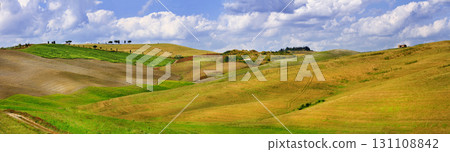 Tuscana landscapes. Hills of Orcia. panorama 131108842