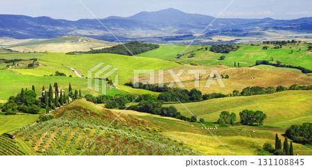 amazing landscapes of Tuscany, val d'Orcia amazing landscapes of Tuscany, val d'Orcia 131108845