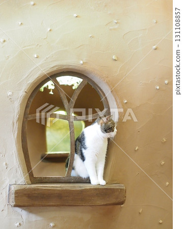 Scenery of a cat cafe 131108857