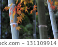 竹林和秋葉的秋季風景 131109914