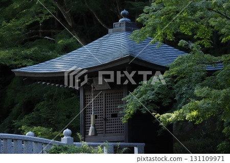 Mount Hatta, covered in greenery in Fukuroi City, Shizuoka Prefecture 131109971