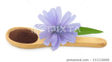 Chicory powder in wooden spoon and flower isolated on white background. Cichorium intybus. 131110000