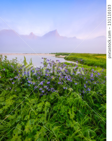 Natural landscape during the midnight sun in the Lofoten Islands, Norway. Mountains and fog 131110103