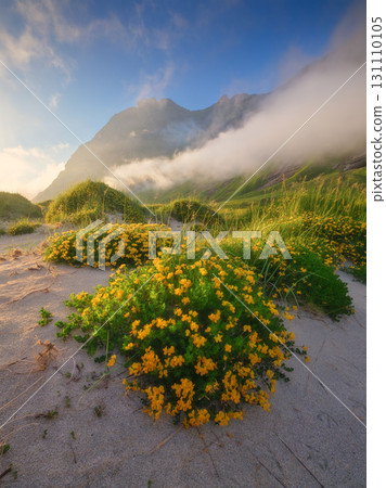 A natural landscape during the midnight sun in the Lofoten Islands, Norway. 131110105