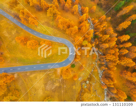 Drone view of a road with curves and car. Asphalt road in the middle of the forest. Autumn landscape 131110109