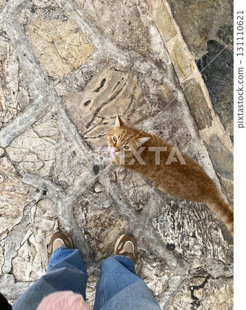 Ginger cat looking up on stone pavement with persons feet visible, outdoor setting 131110621