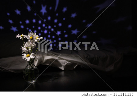 Daisies in Vase With Star Projections on Wall in Dark Room Daisies in Vase With Star Projections on Wall in Dark Room 131111135