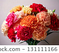 Carnation  131111166