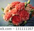 Carnation  131111167