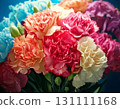 Carnation  131111168