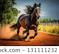 Horse  131111232