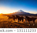 Horse  131111233